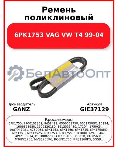 Ремень поликлиновый 6PK1753 VAG VW T4 99-04 GANZ GIE37129