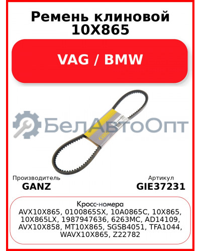 Ремень клиновой 10X865 VAG / BMW GANZ GIE37231