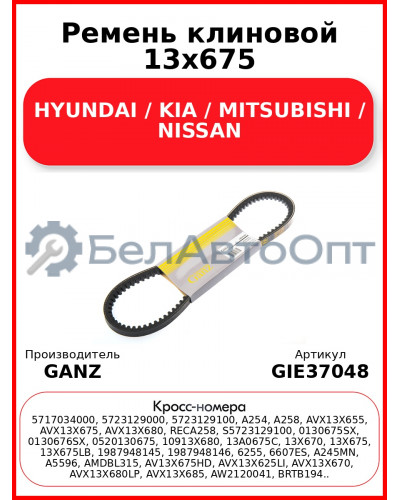 Ремень клиновой 13x675 HYUNDAI / KIA / MITSUBISHI / NISSAN GANZ GIE37048