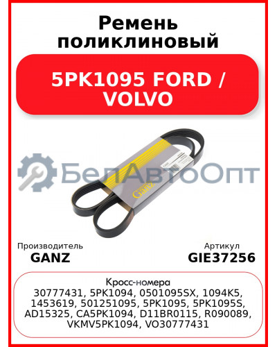 Ремень поликлиновый 5PK1095 FORD / VOLVO GANZ GIE37256
