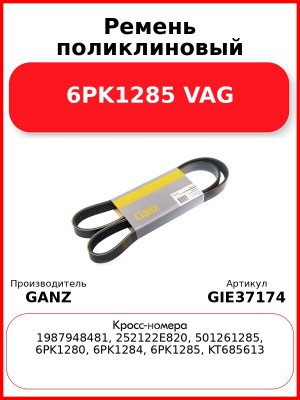 Ремень поликлиновый 6PK1285 VAG GANZ GIE37174