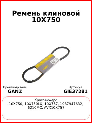 Ремень клиновой 10X750  GANZ GIE37281