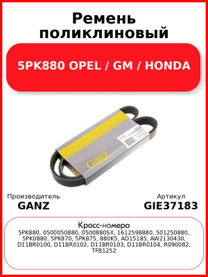 Ремень поликлиновый 5PK880 OPEL / GM / HONDA GANZ GIE37183