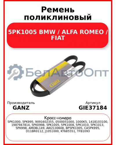Ремень поликлиновый 5PK1005 BMW / ALFA ROMEO / FIAT GANZ GIE37184