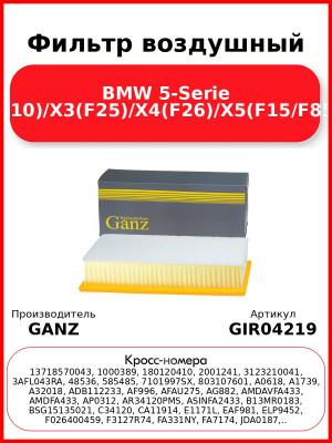 Фильтр воздушный BMW 5-Serie (F10)/X3(F25)/X4(F26)/X5(F15/F85) GANZ GIR04219