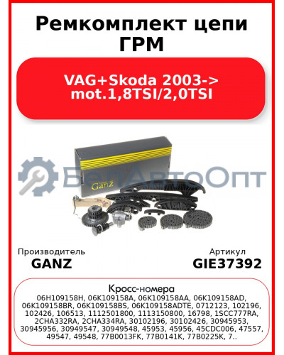 Ремкомплект цепи ГРМ VAG+Skoda 2003-> mot.1,8TSI/2,0TSI GANZ GIE37392
