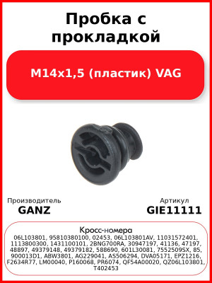 Пробка с прокладкой М14х1,5 (пластик) VAG GANZ GIE11111