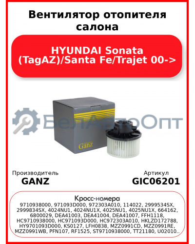 Вентилятор отопителя салона HYUNDAI Sonata (TagAZ)/Santa Fe/Trajet 00-> GANZ GIC06201