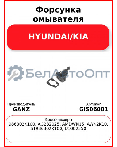 Форсунка омывателя HYUNDAI/KIA GANZ GIS06001