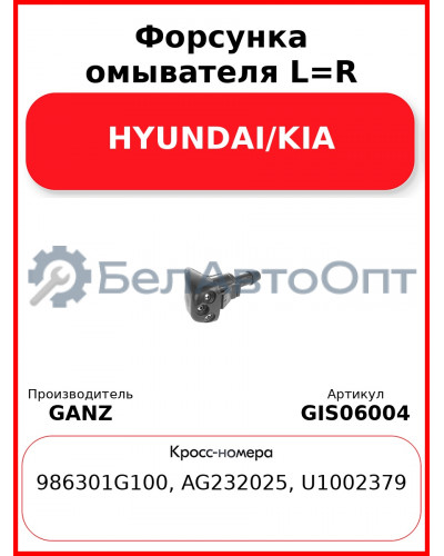 Форсунка омывателя L=R HYUNDAI/KIA GANZ GIS06004
