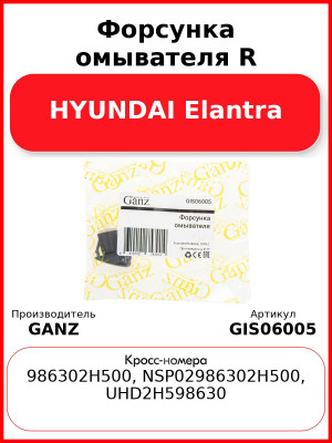 Форсунка омывателя R HYUNDAI Elantra GANZ GIS06005