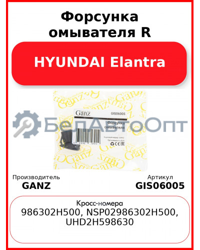 Форсунка омывателя R HYUNDAI Elantra GANZ GIS06005