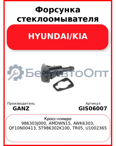 Форсунка стеклоомывателя HYUNDAI/KIA GANZ GIS06007
