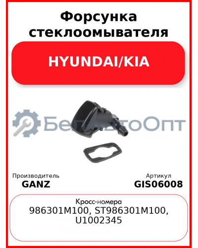 Форсунка стеклоомывателя HYUNDAI/KIA GANZ GIS06008