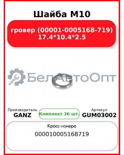 Шайба M10 гровер (00001-0005168-719) 17.4*10.4*2.5 GANZ GUM03002 (Комплект 30 шт