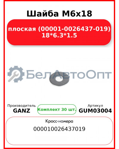 Шайба M6x18 плоская (00001-0026437-019) 18*6.3*1.5 GANZ GUM03004 (Комплект 30 шт