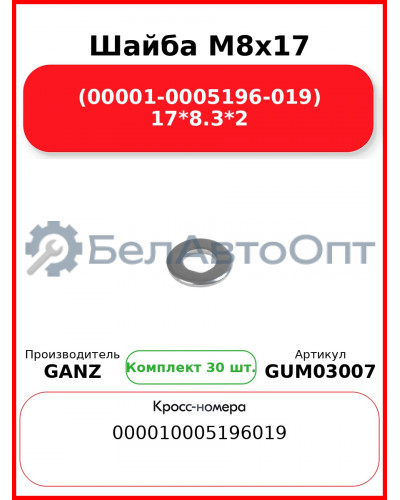 Шайба M8x17 (00001-0005196-019) 17*8.3*2 GANZ GUM03007 (Комплект 30 шт