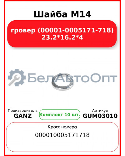 Шайба M14 гровер (00001-0005171-718) 23.2*16.2*4 GANZ GUM03010 (Комплект 10 шт