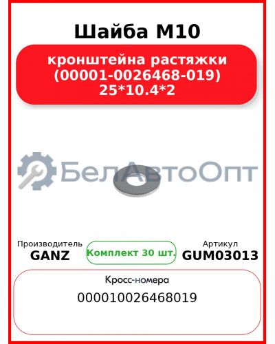 Шайба M10 кронштейна растяжки (00001-0026468-019) 25*10.4*2 GANZ GUM03013 (Комплект 30 шт
