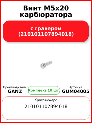 Винт M5x20 карбюратора с гравером (210101107894018)  GANZ GUM04005 (Комплект 10 шт