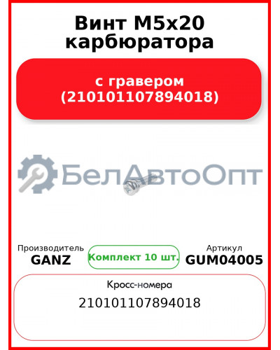 Винт M5x20 карбюратора с гравером (210101107894018)  GANZ GUM04005 (Комплект 10 шт
