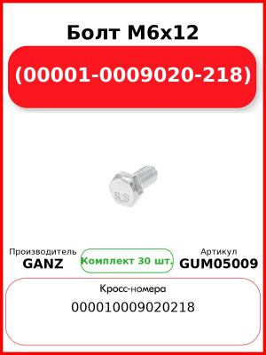 Болт M6x12 (00001-0009020-218)  GANZ GUM05009 (Комплект 30 шт