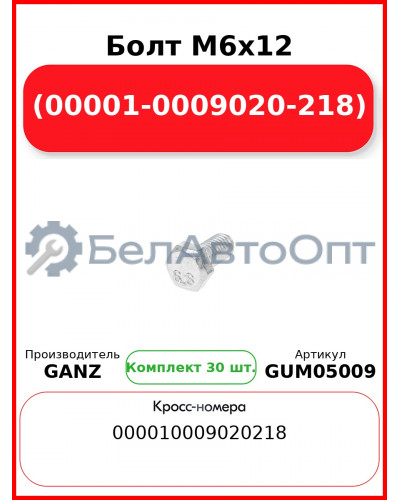 Болт M6x12 (00001-0009020-218)  GANZ GUM05009 (Комплект 30 шт