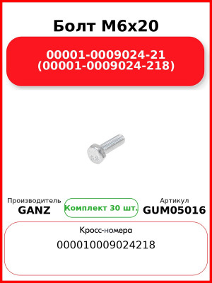 Болт M6x20 00001-0009024-21 (00001-0009024-218)  GANZ GUM05016 (Комплект 30 шт