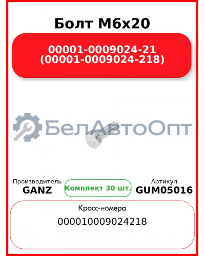 Болт M6x20 00001-0009024-21 (00001-0009024-218)  GANZ GUM05016 (Комплект 30 шт