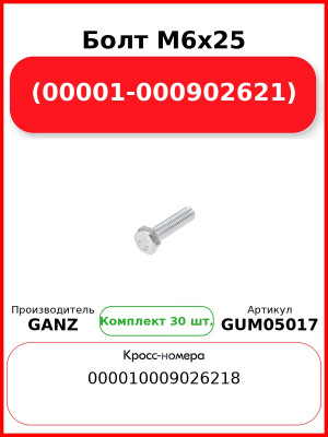 Болт M6x25 (00001-000902621)  GANZ GUM05017 (Комплект 30 шт