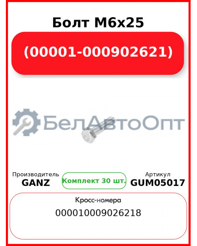 Болт M6x25 (00001-000902621)  GANZ GUM05017 (Комплект 30 шт
