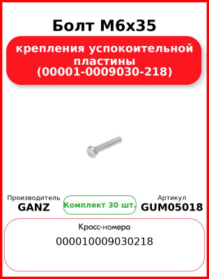 Болт M6x35 крепления успокоительной пластины (00001-0009030-218)  GANZ GUM05018 (Комплект 30 шт