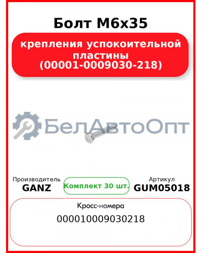 Болт M6x35 крепления успокоительной пластины (00001-0009030-218)  GANZ GUM05018 (Комплект 30 шт