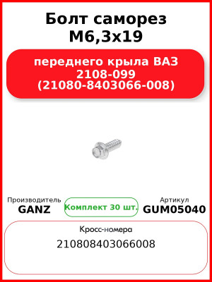 Болт саморез M6,3x19 переднего крыла ВАЗ 2108-099 (21080-8403066-008)  GANZ GUM05040 (Комплект 30 шт