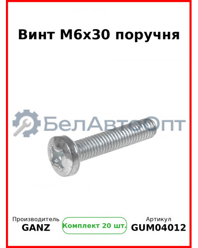 Винт M6x30 поручня  GANZ GUM04012 (Комплект 20 шт