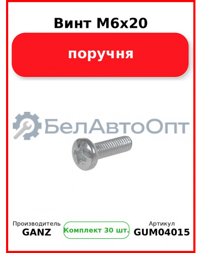 Винт M6x20 поручня  GANZ GUM04015 (Комплект 30 шт