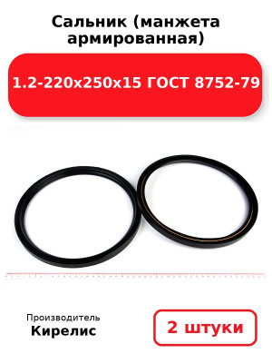 Сальник (манжета армированная) 1.2-220х250х15 ГОСТ 8752-79. Комплект 2(шт