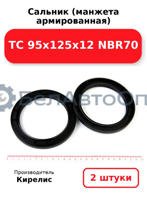 Сальник (манжета армированная) TC 95х125х12 NBR70. Комплект 2 шт.