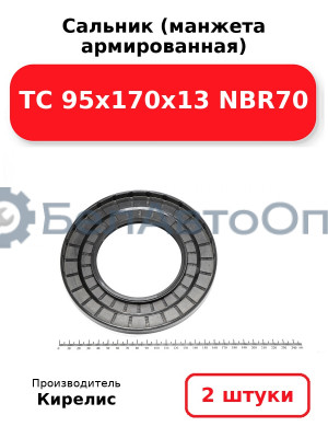 Сальник (манжета армированная) TC 95х170х13 NBR70. Комплект 2 шт.