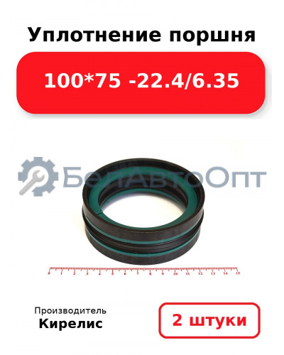 Уплотнение поршня 100*75 -22.4/6.35. Комплект 2(шт)