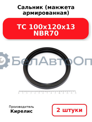 Сальник (манжета армированная) TC 100x120x13 NBR70. Комплект 2 шт.