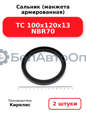 Сальник (манжета армированная) TC 100x120x13 NBR70. Комплект 2 шт.