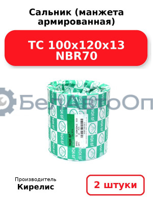 Сальник (манжета армированная) TC 100x120x13 NBR70. Комплект 2 шт.