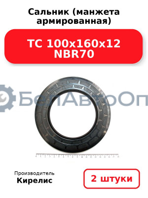 Сальник (манжета армированная) TC 100x160x12 NBR70. Комплект 2 шт.