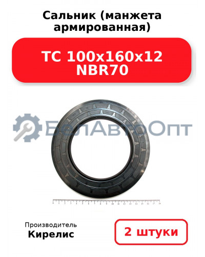 Сальник (манжета армированная) TC 100x160x12 NBR70. Комплект 2 шт.