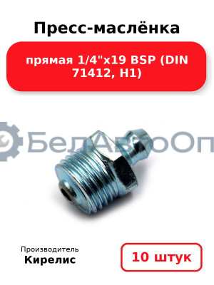 Пресс-маслёнка прямая 1/4х19 BSP (DIN 71412, Н1) Комплект 10(шт)