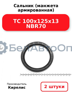 Сальник (манжета армированная) TC 100х125х13 NBR70. Комплект 2(шт)