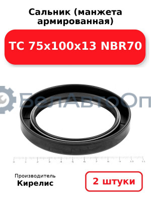 Сальник (манжета армированная) TC 75х100х13 NBR70. Комплект 2(шт)