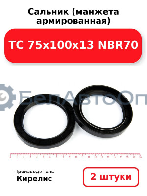 Сальник (манжета армированная) TC 75х100х13 NBR70. Комплект 2(шт)