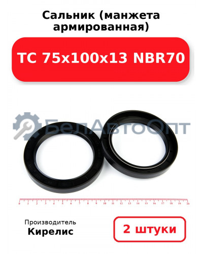 Сальник (манжета армированная) TC 75х100х13 NBR70. Комплект 2(шт)